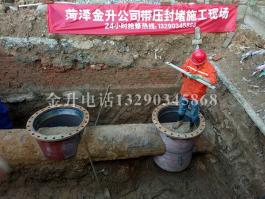 国产又黄又大又粗的视频