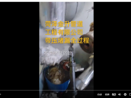 管道亲嘴扒胸摸屁股激烈视频