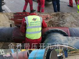 国产又黄又大又粗的视频