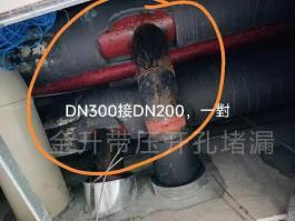 管道亲嘴扒胸摸屁股激烈视频