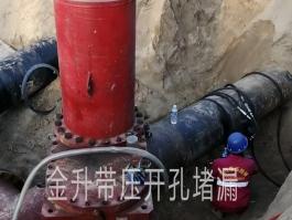 国产又黄又大又粗的视频封堵施工